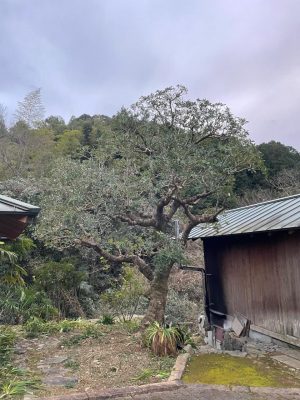 image1_5.jpeg