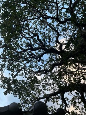 image1_8.jpeg