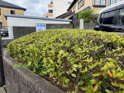 image0_8.jpeg