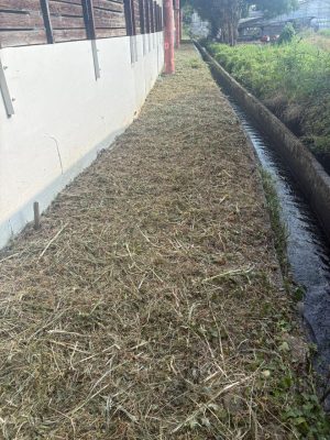 IMG_6189.jpeg