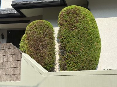 image0_12.jpeg