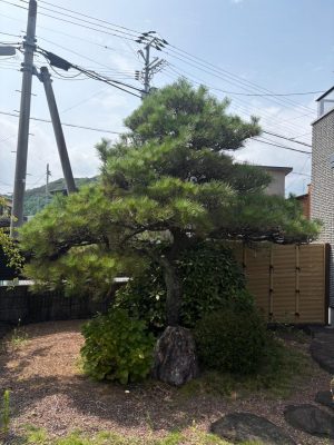 image0_4.jpeg