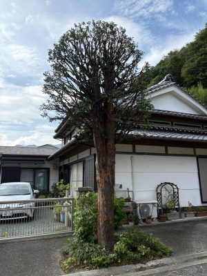 image0_5.jpeg