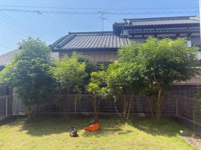 image0_8.jpeg