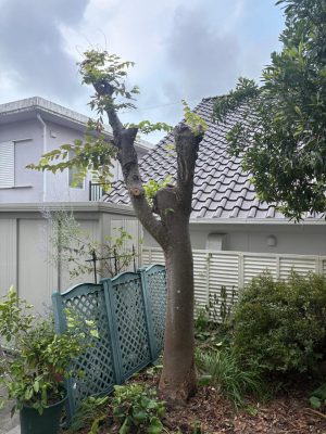 image1_11.jpeg