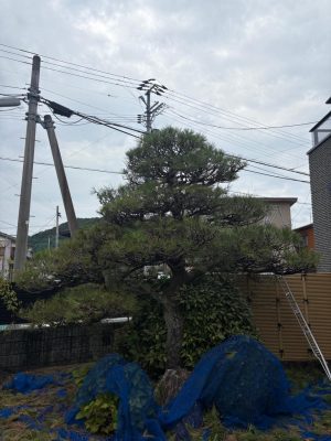 image1_3.jpeg