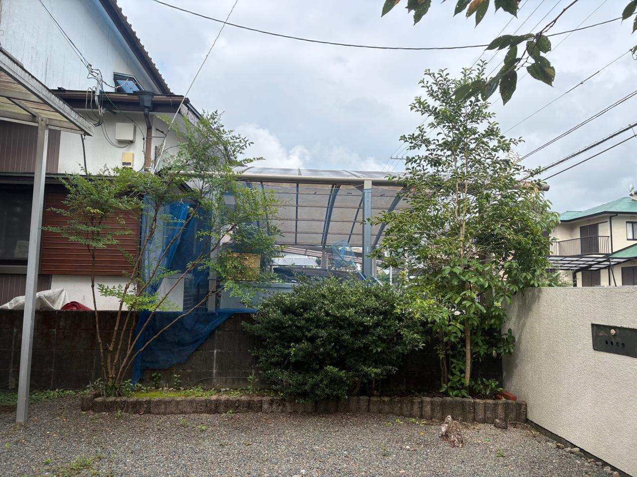 image1_5