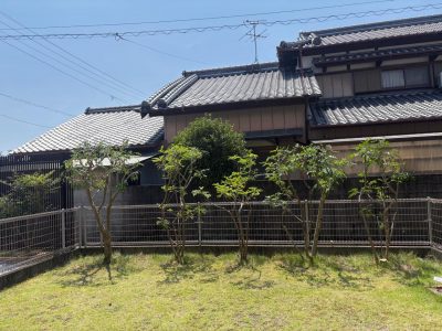 image1_7.jpeg