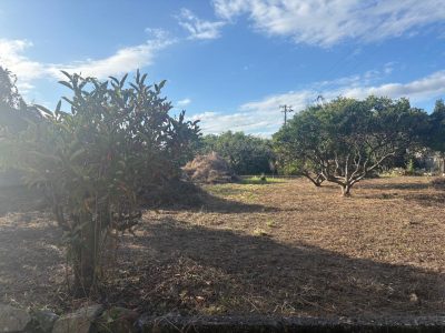 image1_8.jpeg