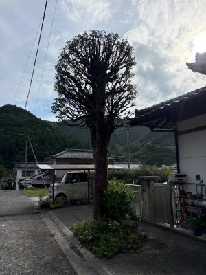 image2_3.jpeg