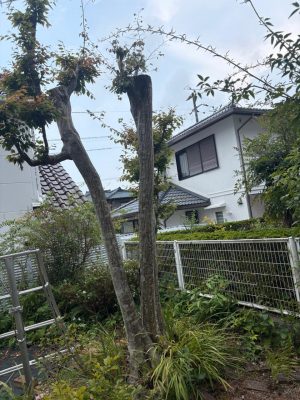 image2_9.jpeg