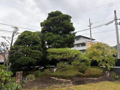 image3_2.jpeg