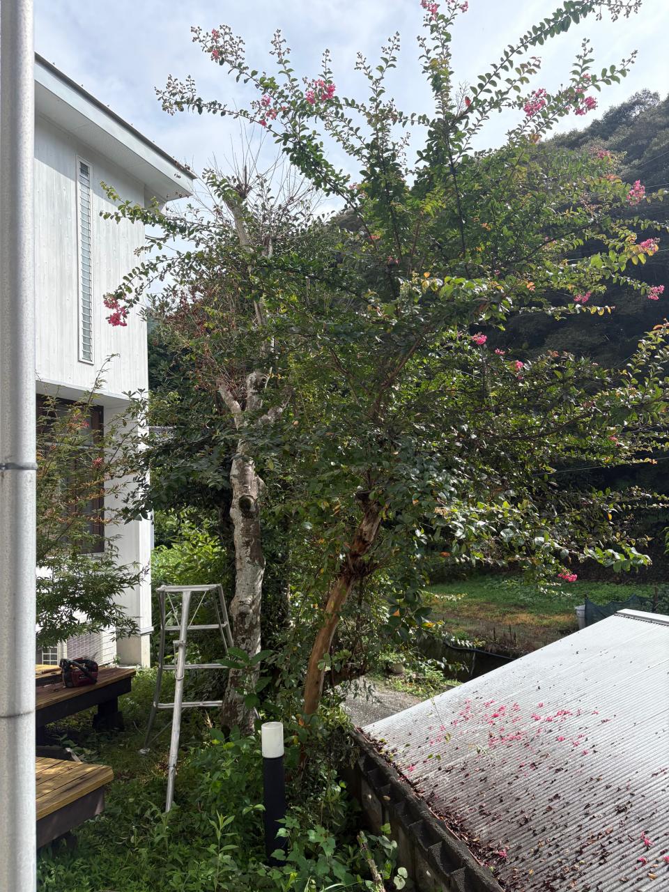 image3_3