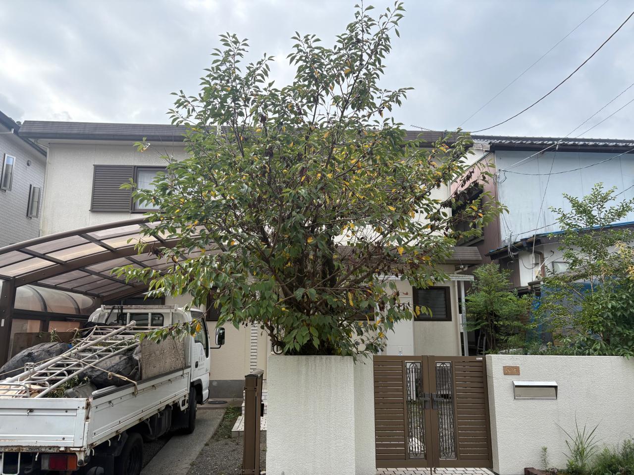 image3_4