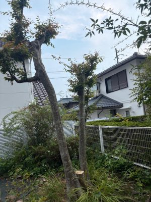 image3_9.jpeg