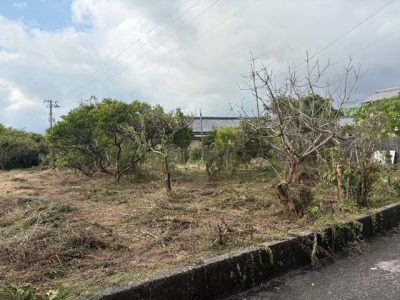 image4_5.jpeg