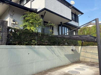 image6.jpeg