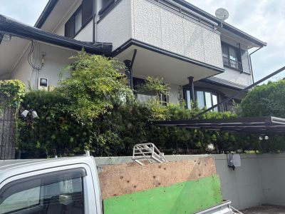 image7.jpeg