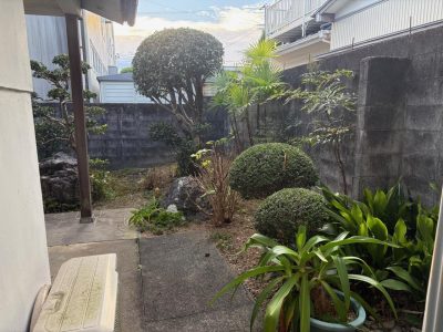 image0_22.jpeg