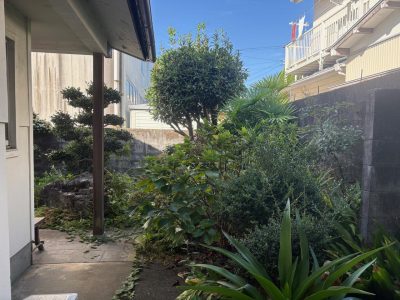 image1_20.jpeg
