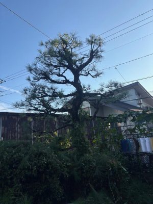 image2_16.jpeg