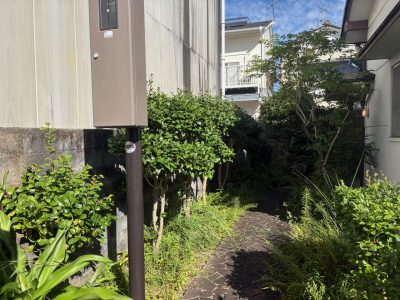 image3_16.jpeg