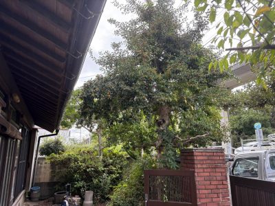 image0_10.jpeg