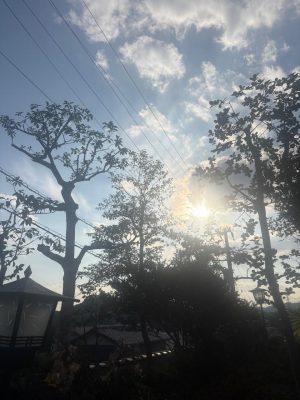 image0_18.jpeg