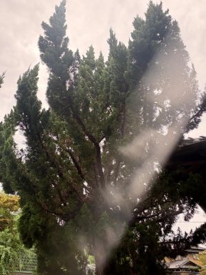 image0_4.jpeg