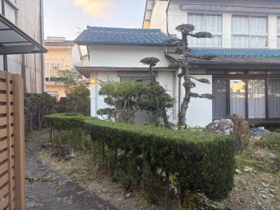 image1.jpeg