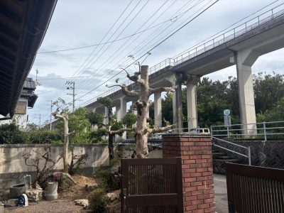 image1_11.jpeg