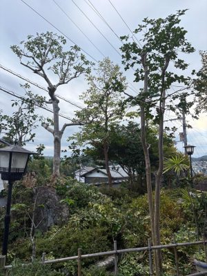 image1_16.jpeg