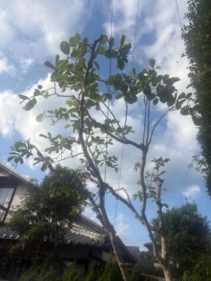 image1_18.jpeg