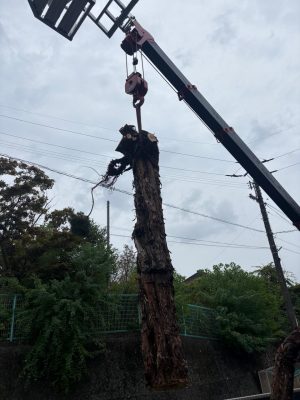 image1_4.jpeg