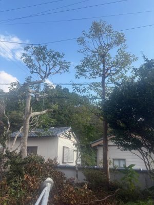 image2_14.jpeg