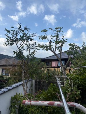 image3_12.jpeg