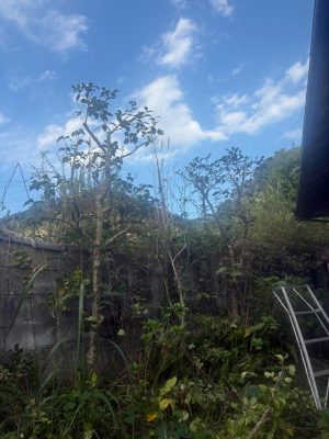 image3_13.jpeg