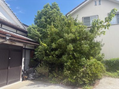 image4_3.jpeg