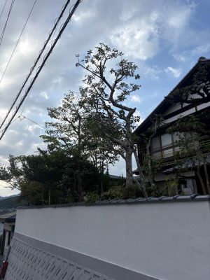 image4_6.jpeg