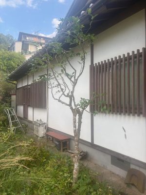 image4_8.jpeg