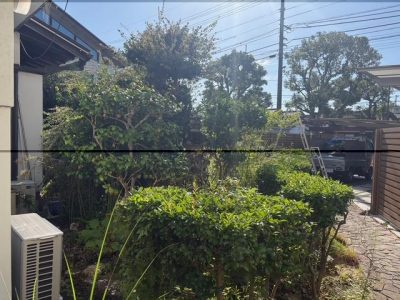 image7.jpeg