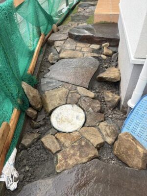 image1_10.jpeg