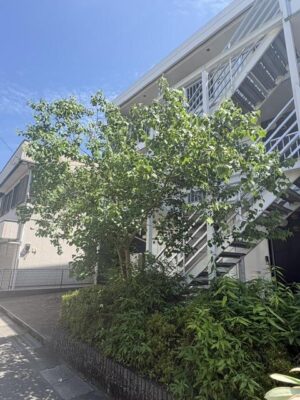 image5_6.jpeg