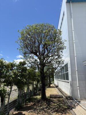 image1_2.jpeg