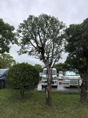 image3_3.jpeg
