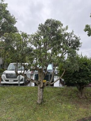 image4_3.jpeg