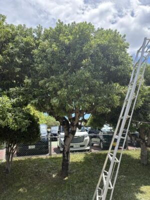 image6_2.jpeg