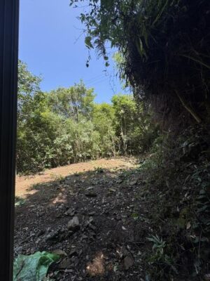 image2_4.jpeg
