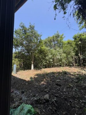 image3_3.jpeg