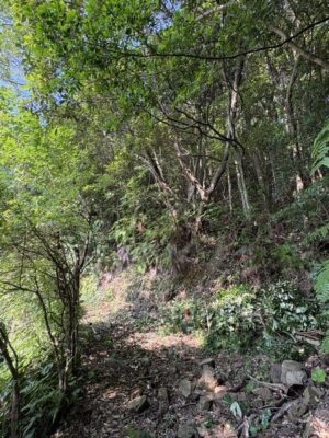 image6_3.jpeg